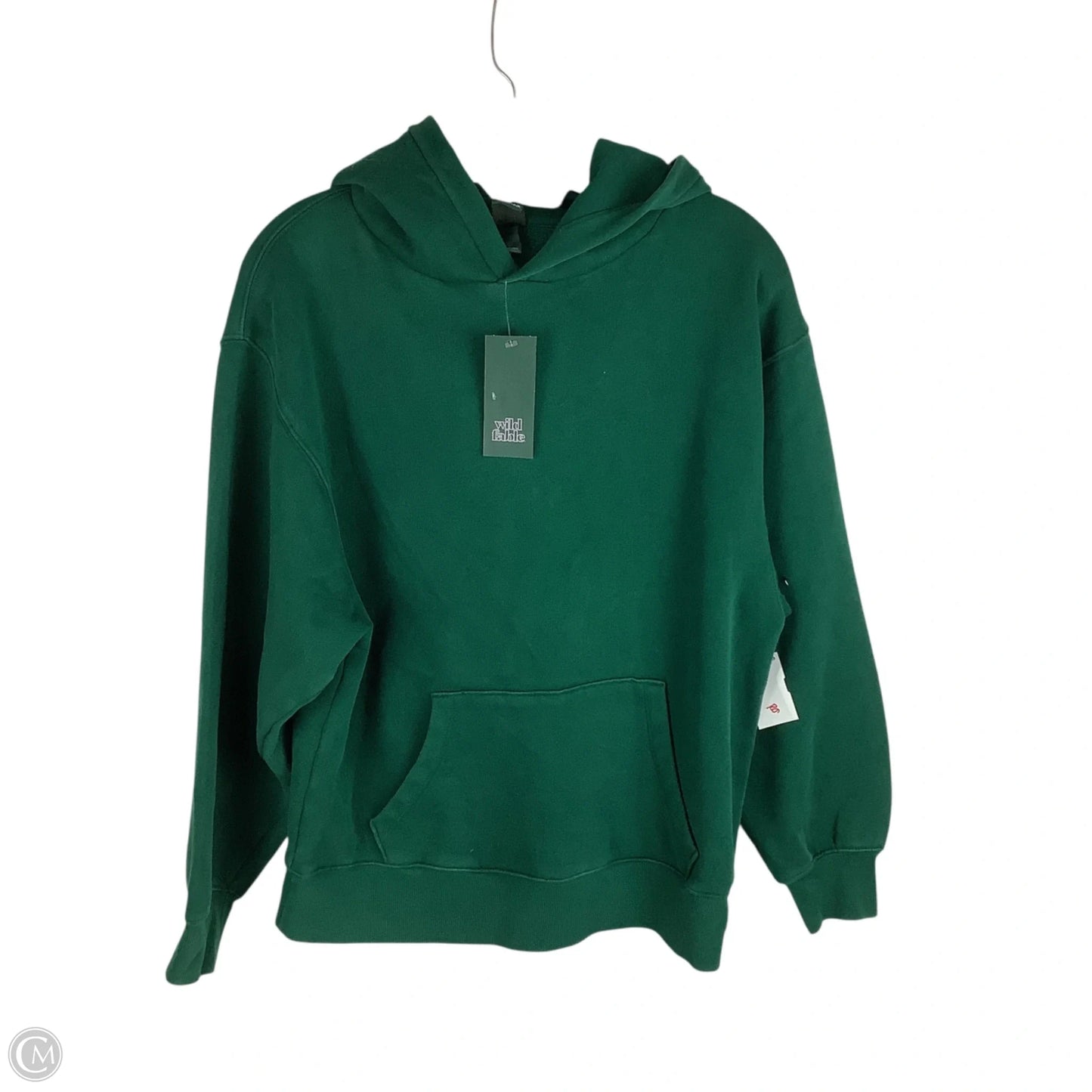 Sweatshirt Hoodie By Wild Fable In Green, Size: Xxs
