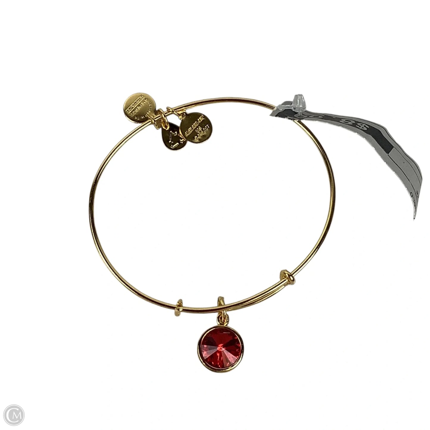 Bracelet Bangle By Alex And Ani
