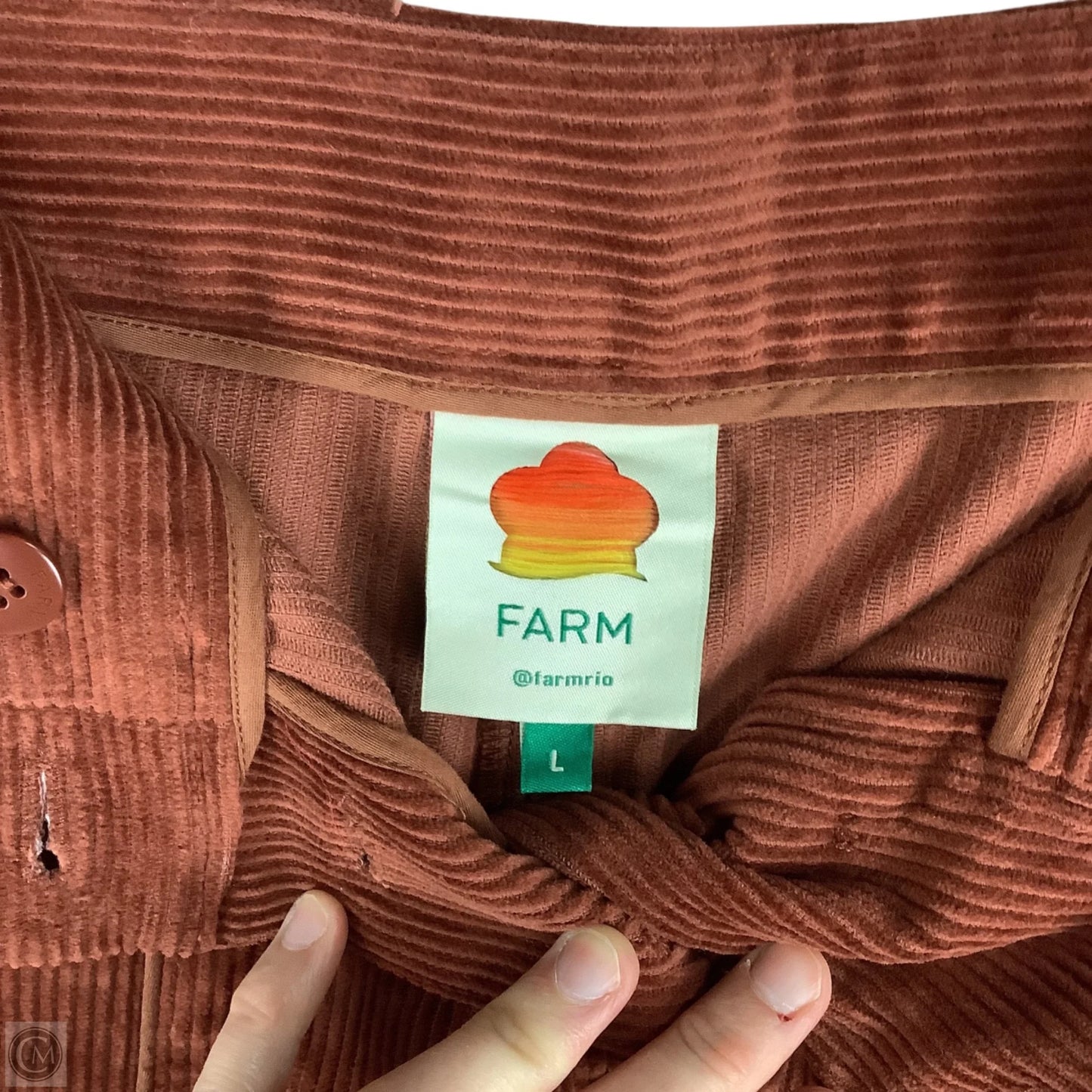 Pants Corduroy By Farm Rio In Brown, Size: L
