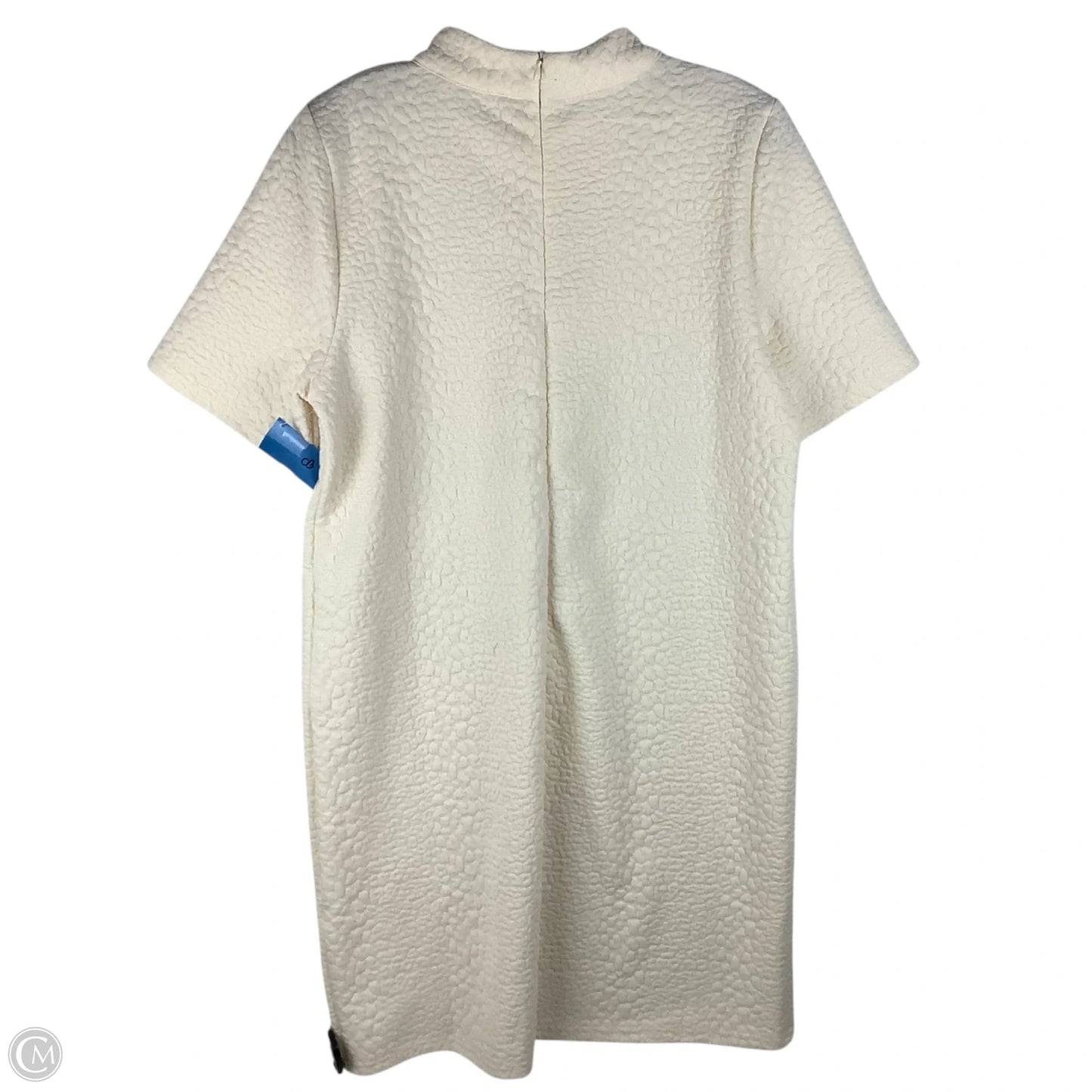 Dress Casual Short By Thml In Cream, Size: M