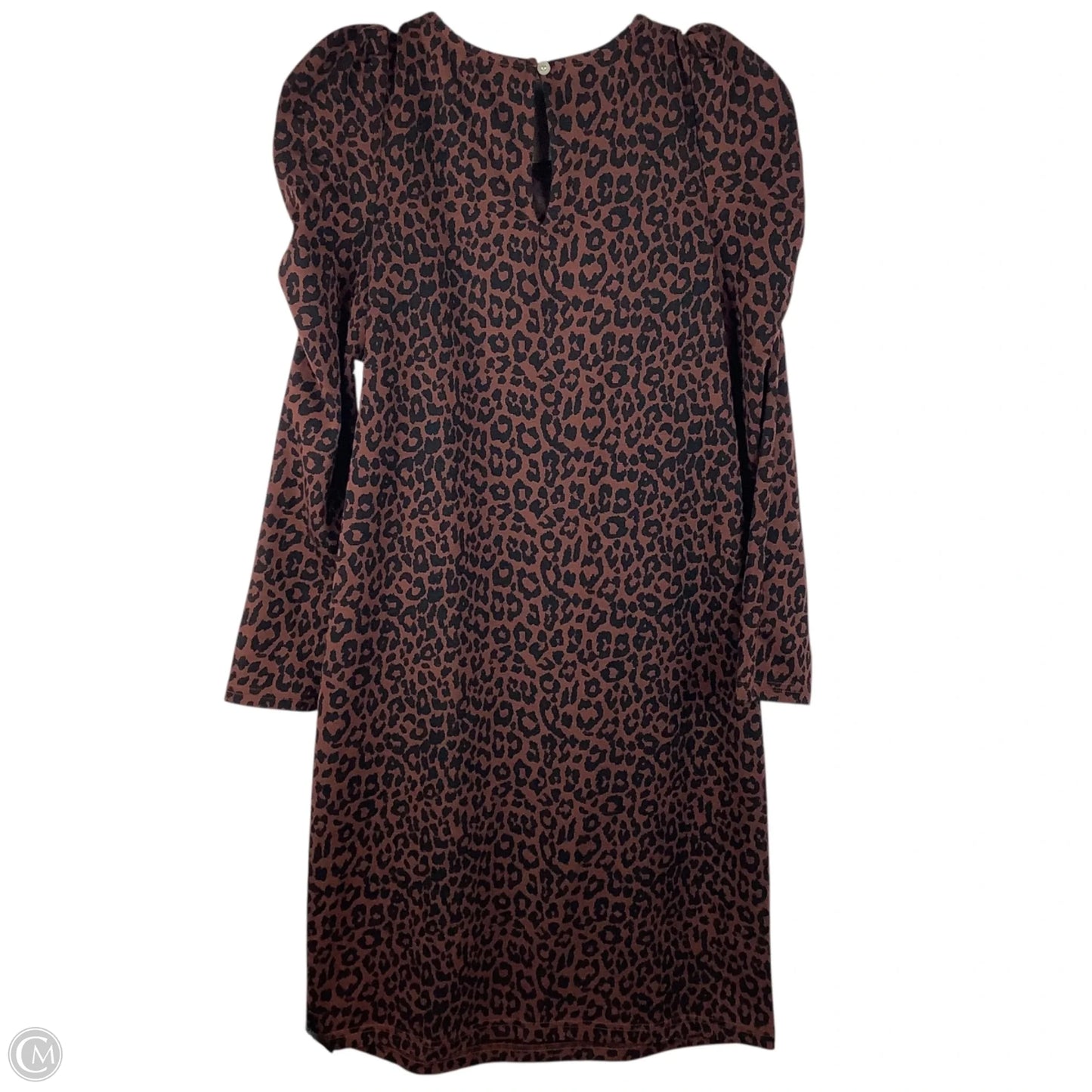 Dress Casual Short By Loft In Animal Print, Size: Xs