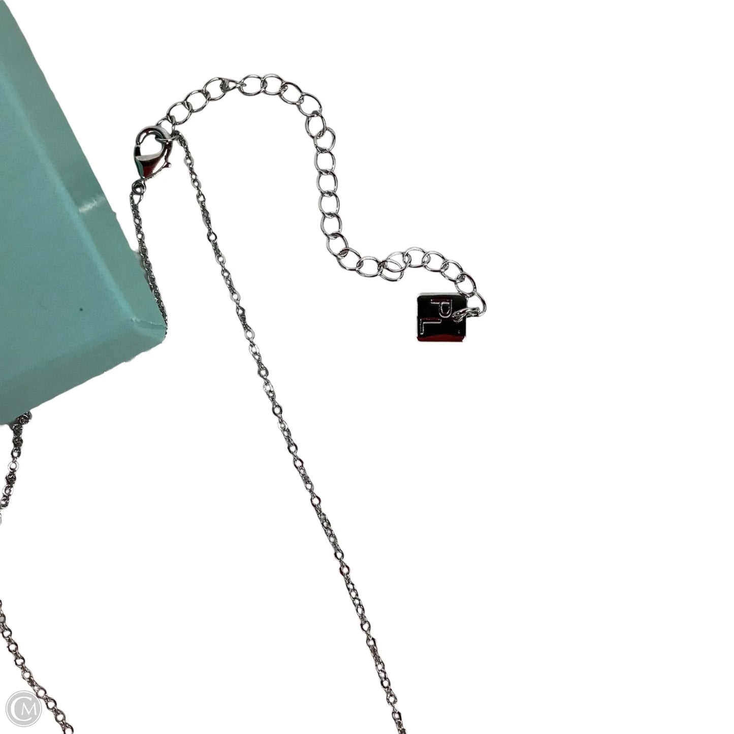 Necklace Chain By Park Lane