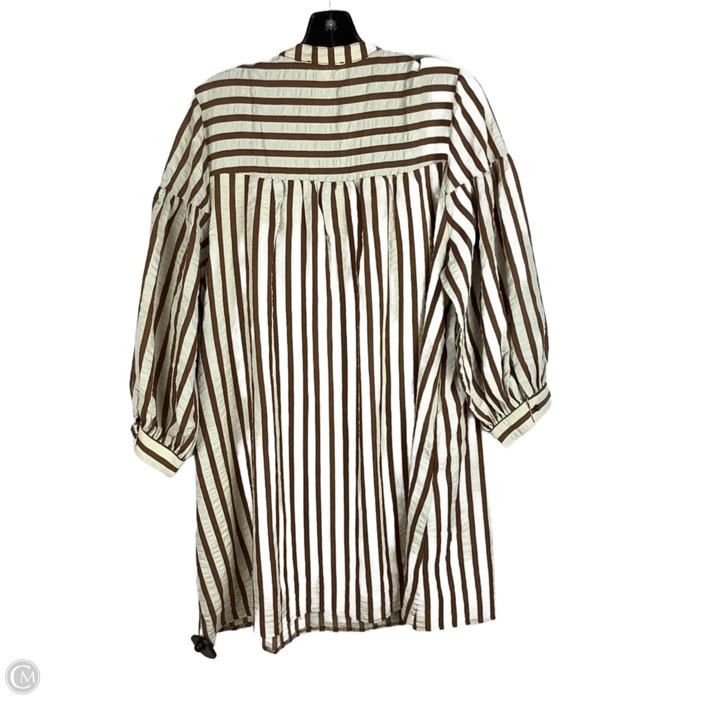 Dress Casual Short By Entro In Striped Pattern, Size: L