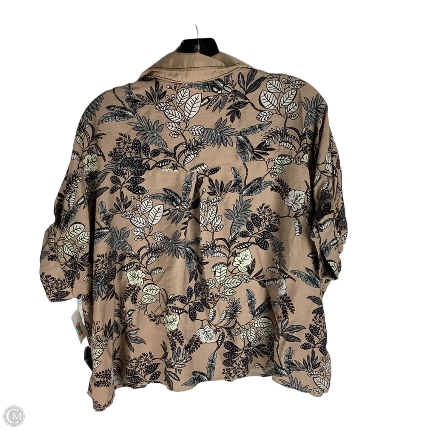 Top Short Sleeve By Entro In Brown, Size: S