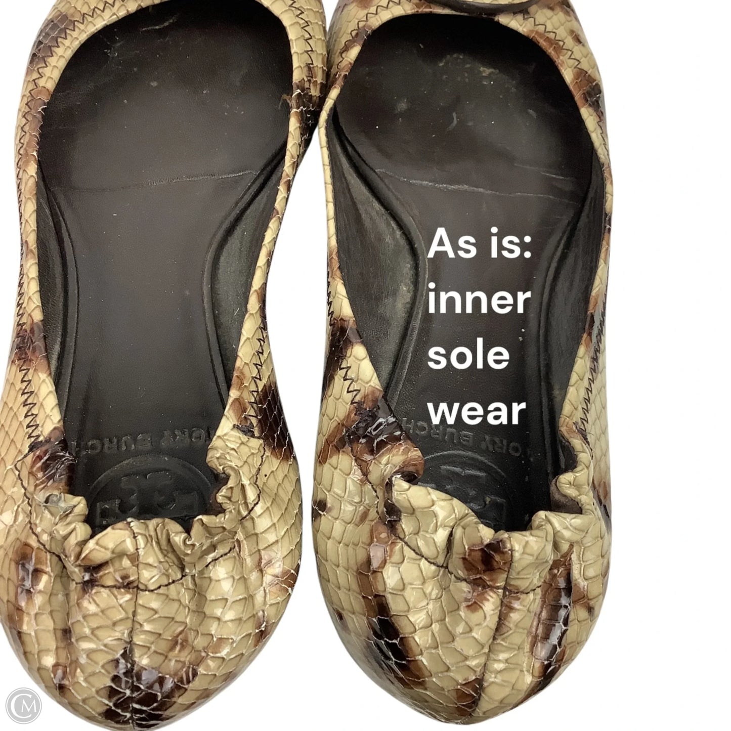 Shoes Designer By Tory Burch In Snakeskin Print, Size: 6.5