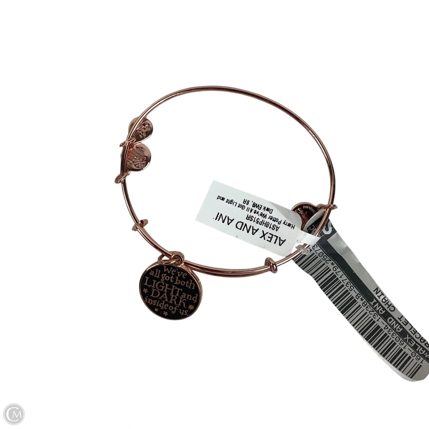 Bracelet Chain By Alex And Ani