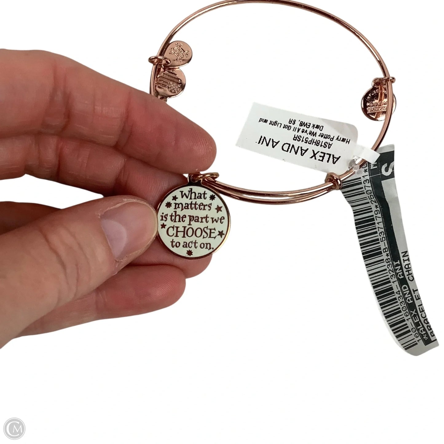 Bracelet Chain By Alex And Ani