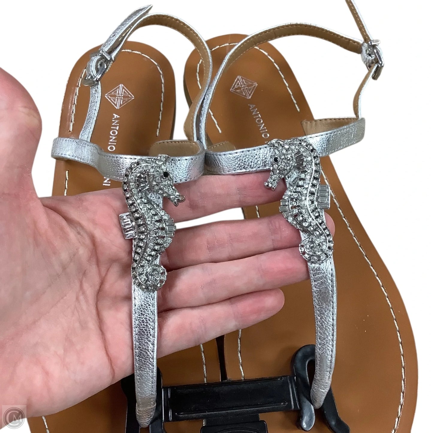 Sandals Flats By Antonio Melani In Silver, Size: 8