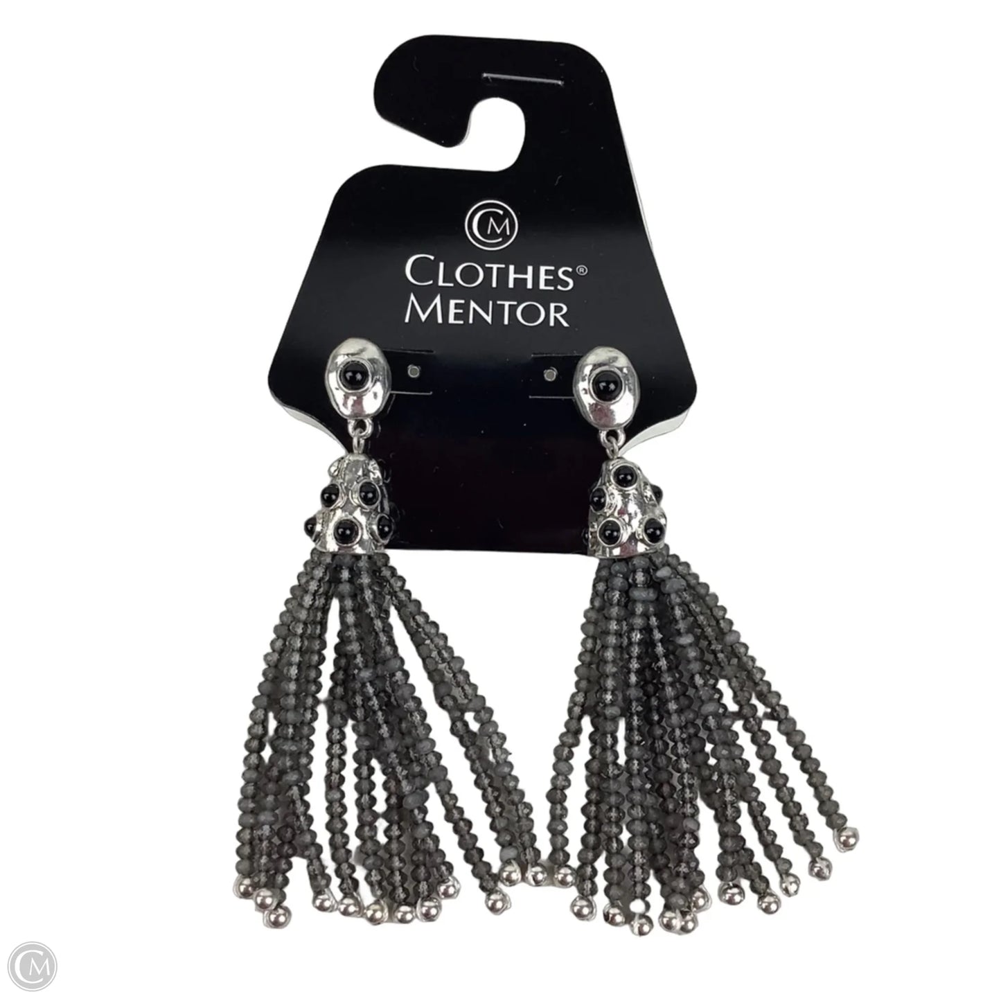 Earrings Dangle/drop By Chicos