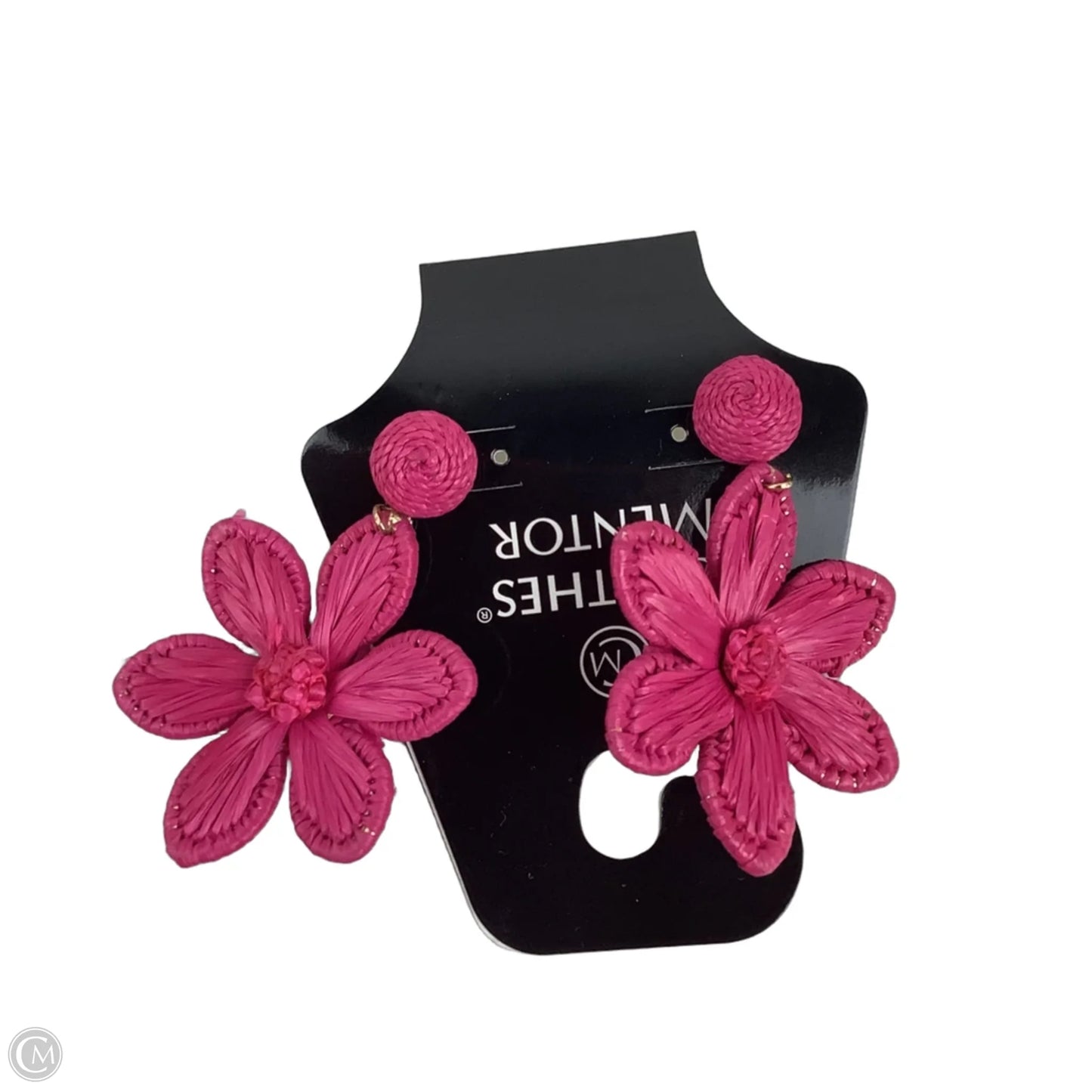 Earrings Dangle/drop By Clothes Mentor