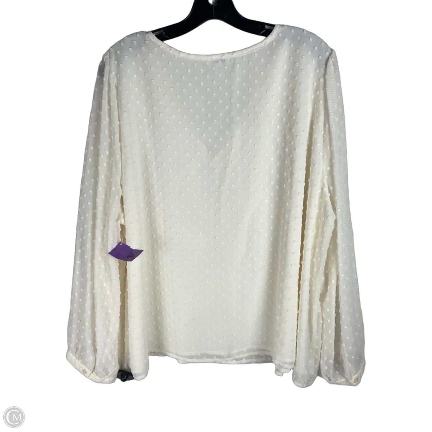 Top Long Sleeve By J. Crew In Cream, Size: 3x