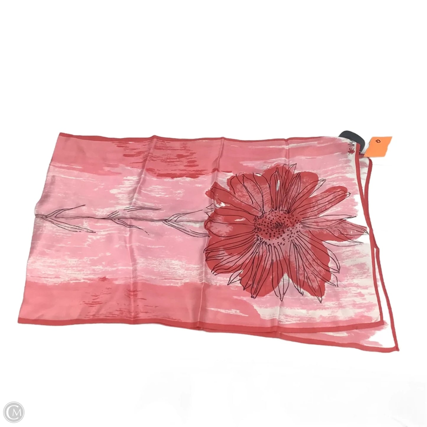 Scarf Long By Clothes Mentor