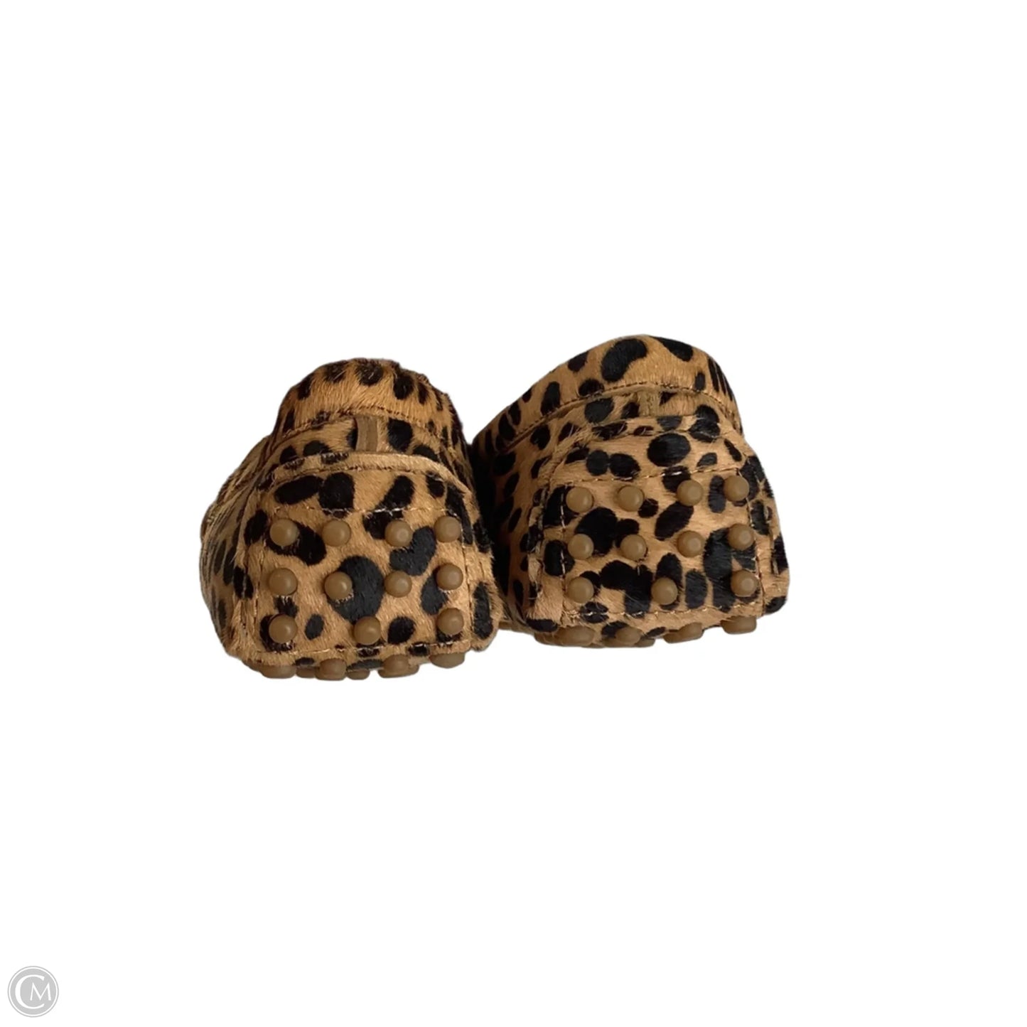 Shoes Flats By Johnny Was In Animal Print, Size: 8