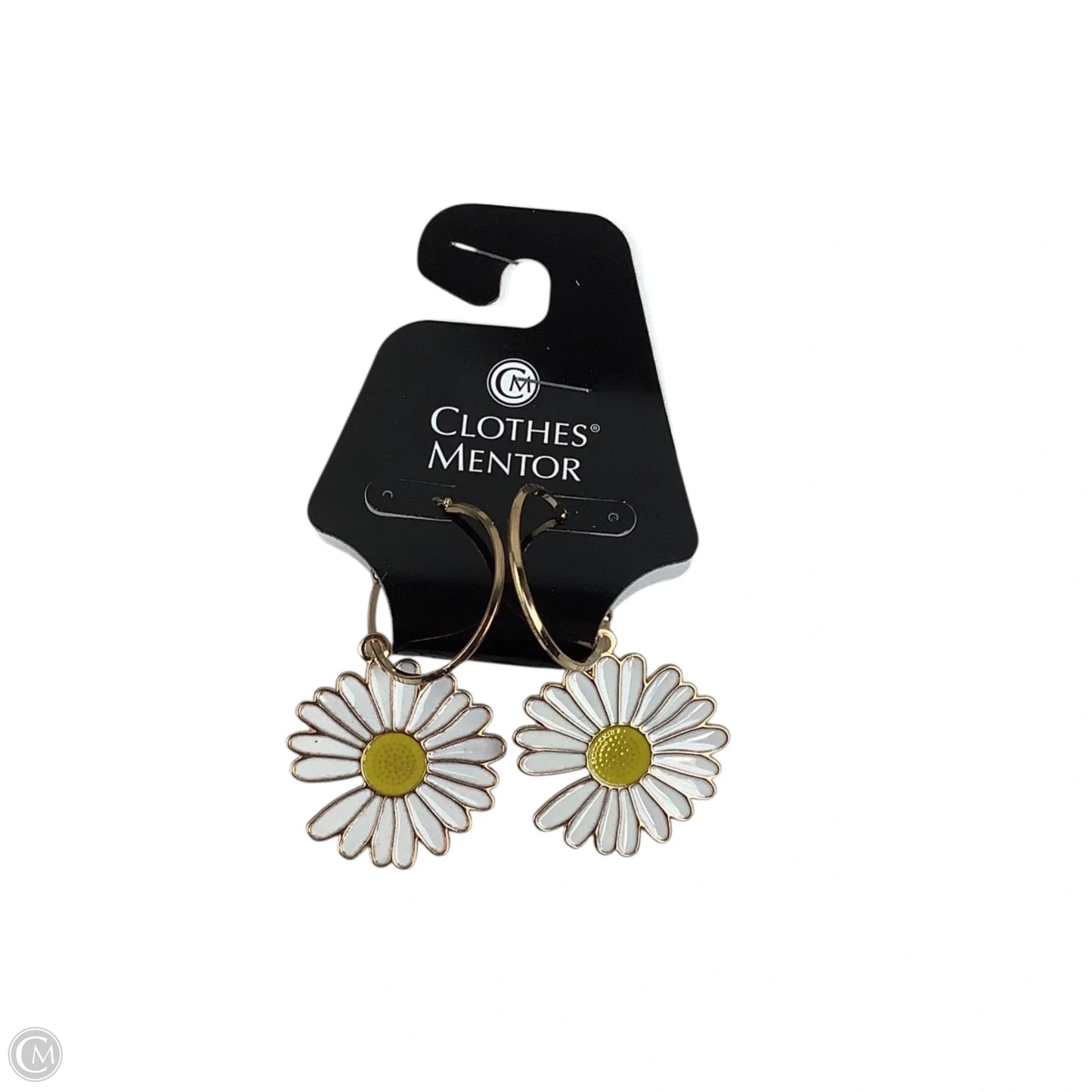 Earrings Dangle/drop By Clothes Mentor