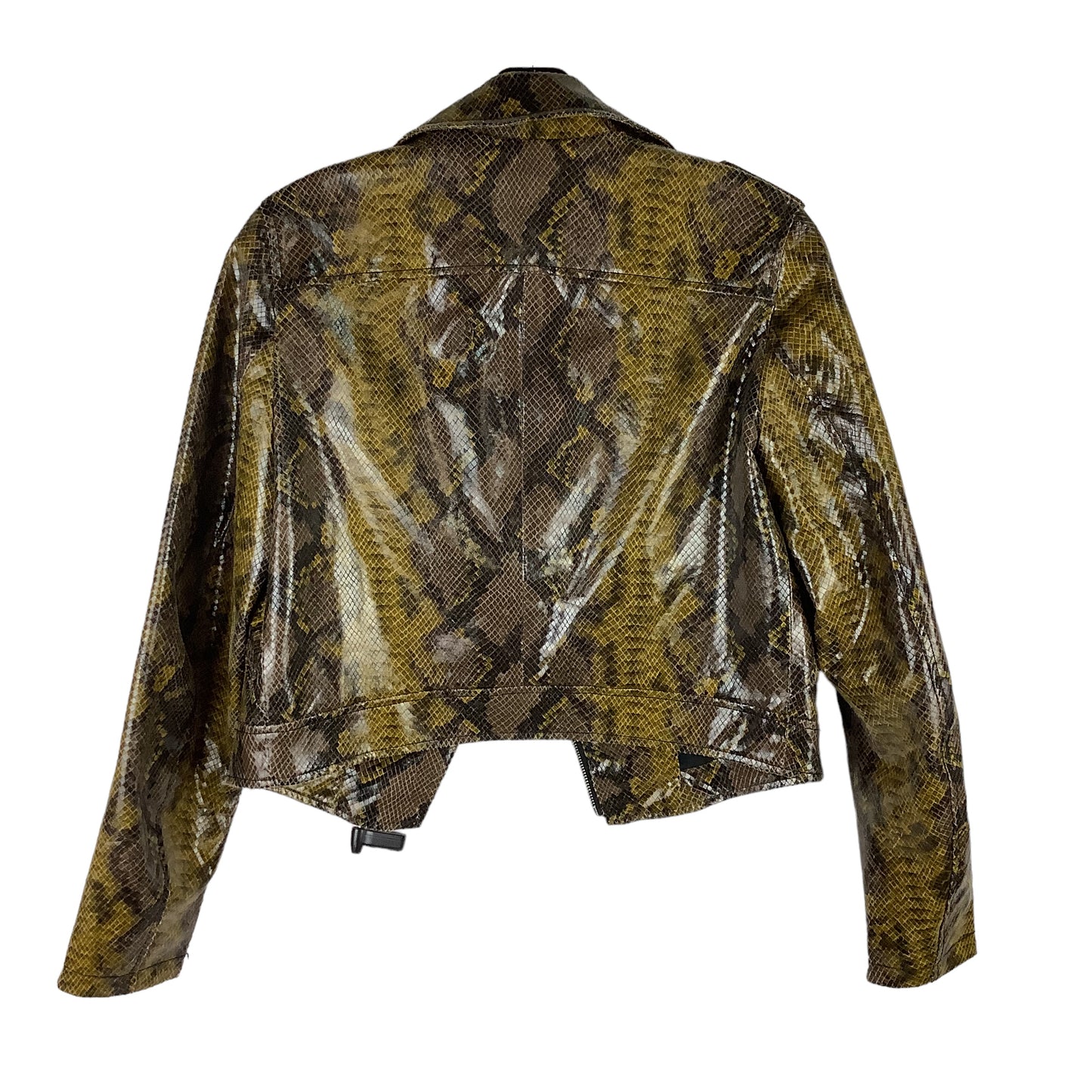 Jacket Other By Zara Basic  Size: Xs