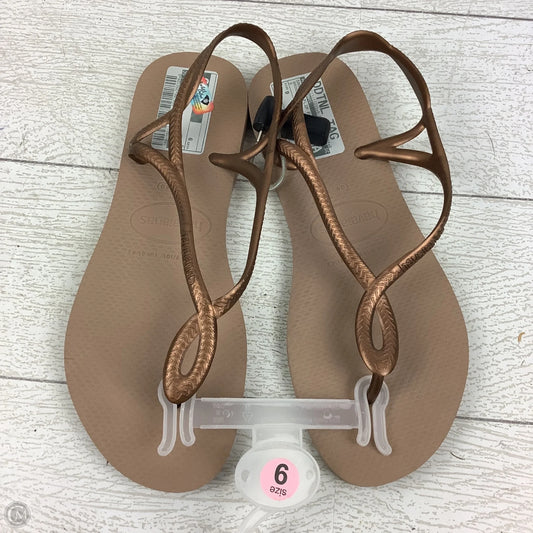 Sandals Flip Flops By Havaianas In Bronze, Size: 9/10