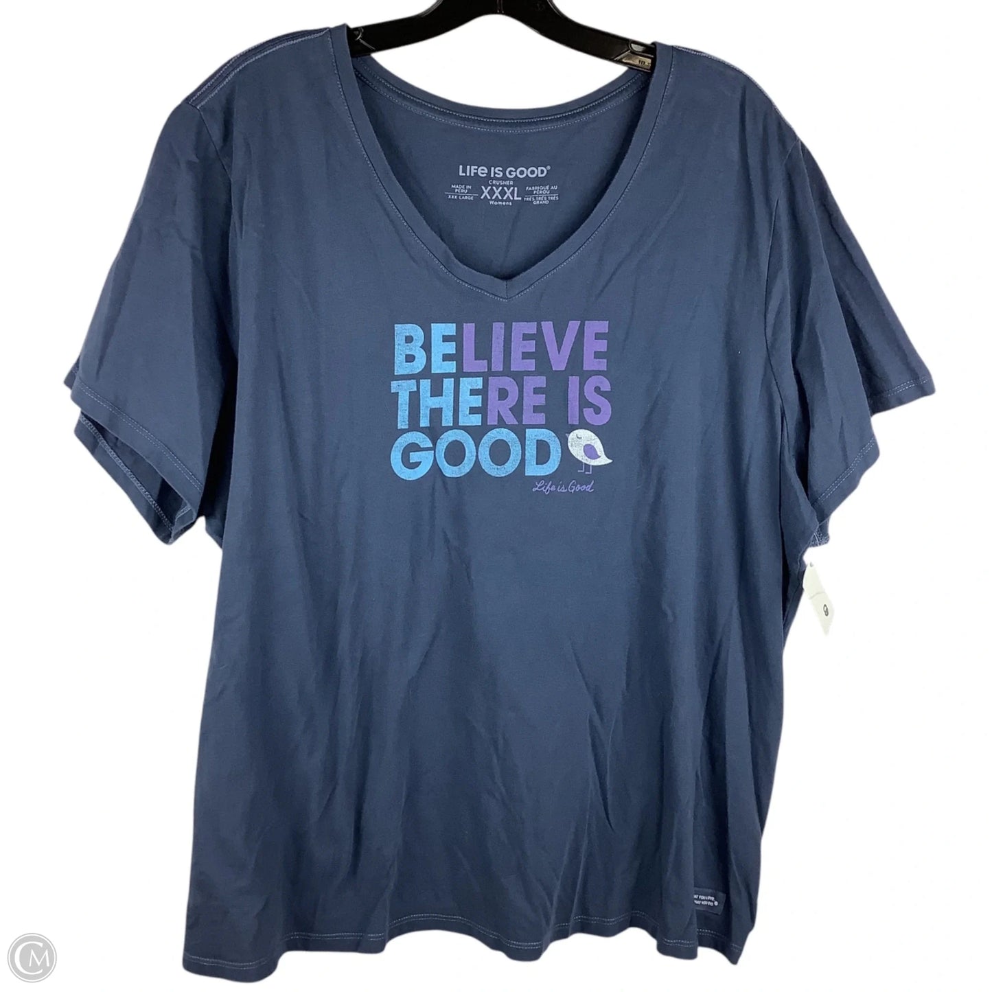 Top Short Sleeve By Life Is Good In Blue, Size: 3x