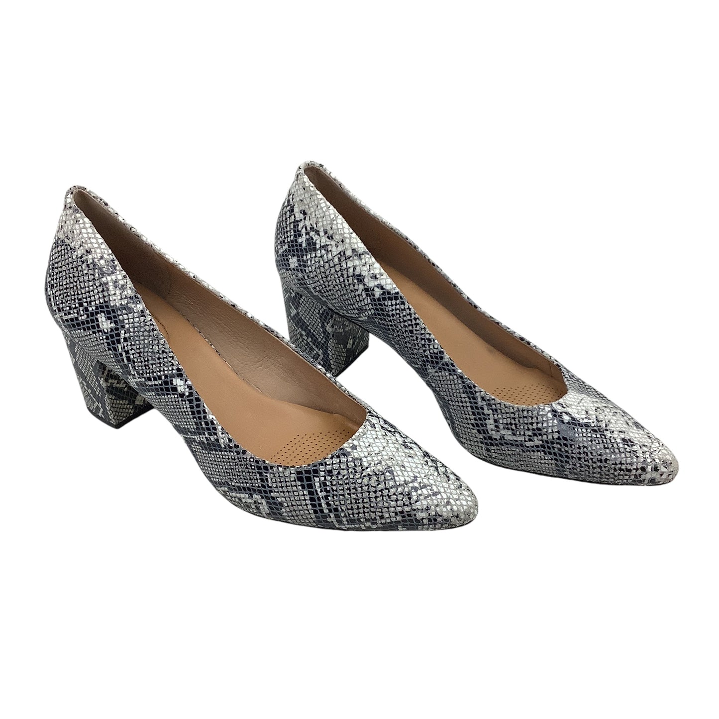 Shoes Heels Block By Corso Como In Snakeskin Print, Size: 11