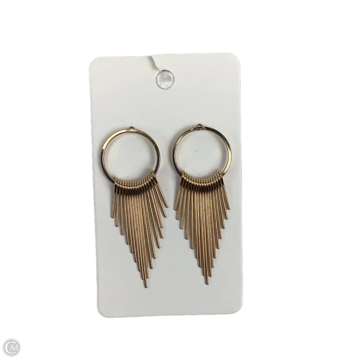 Earrings Dangle/drop By Clothes Mentor