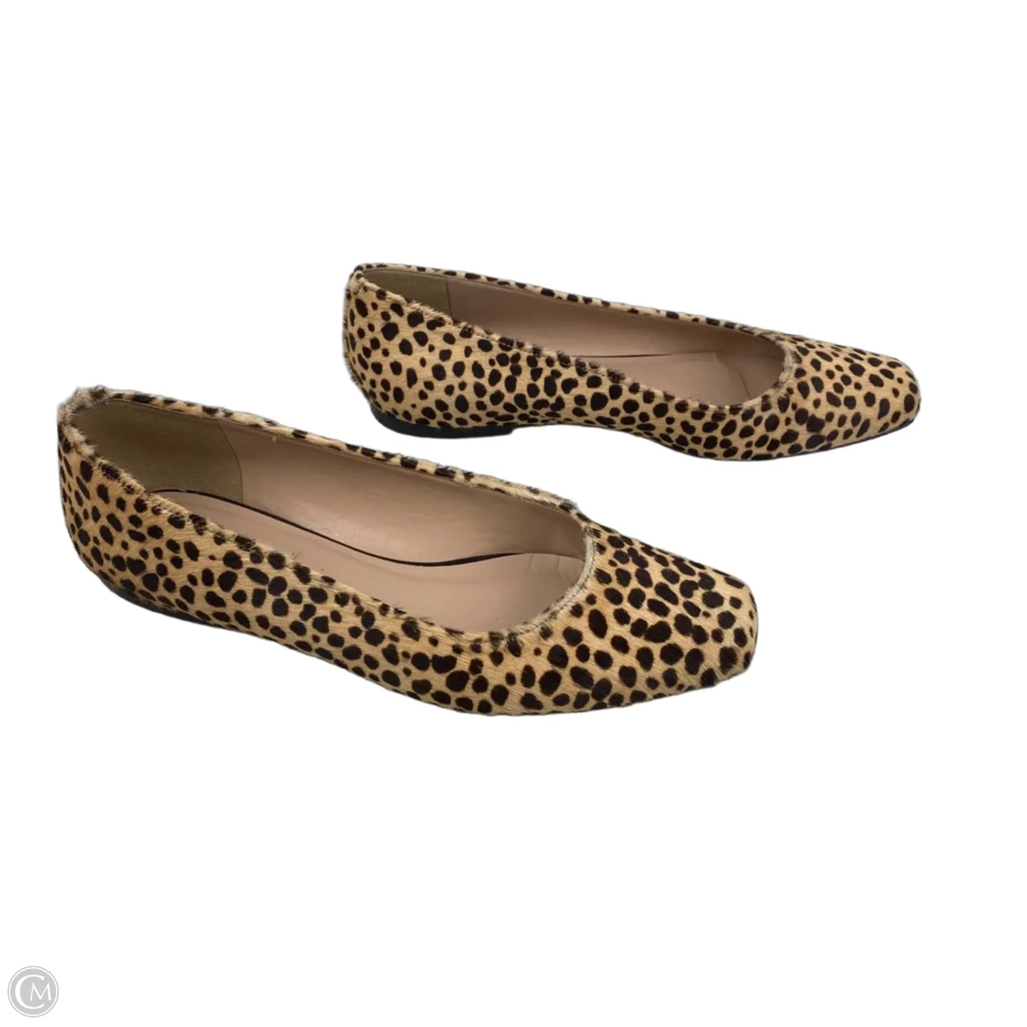 Shoes Flats By Steve Madden In Animal Print, Size: 7