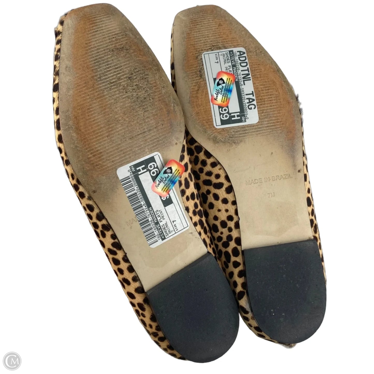 Shoes Flats By Steve Madden In Animal Print, Size: 7