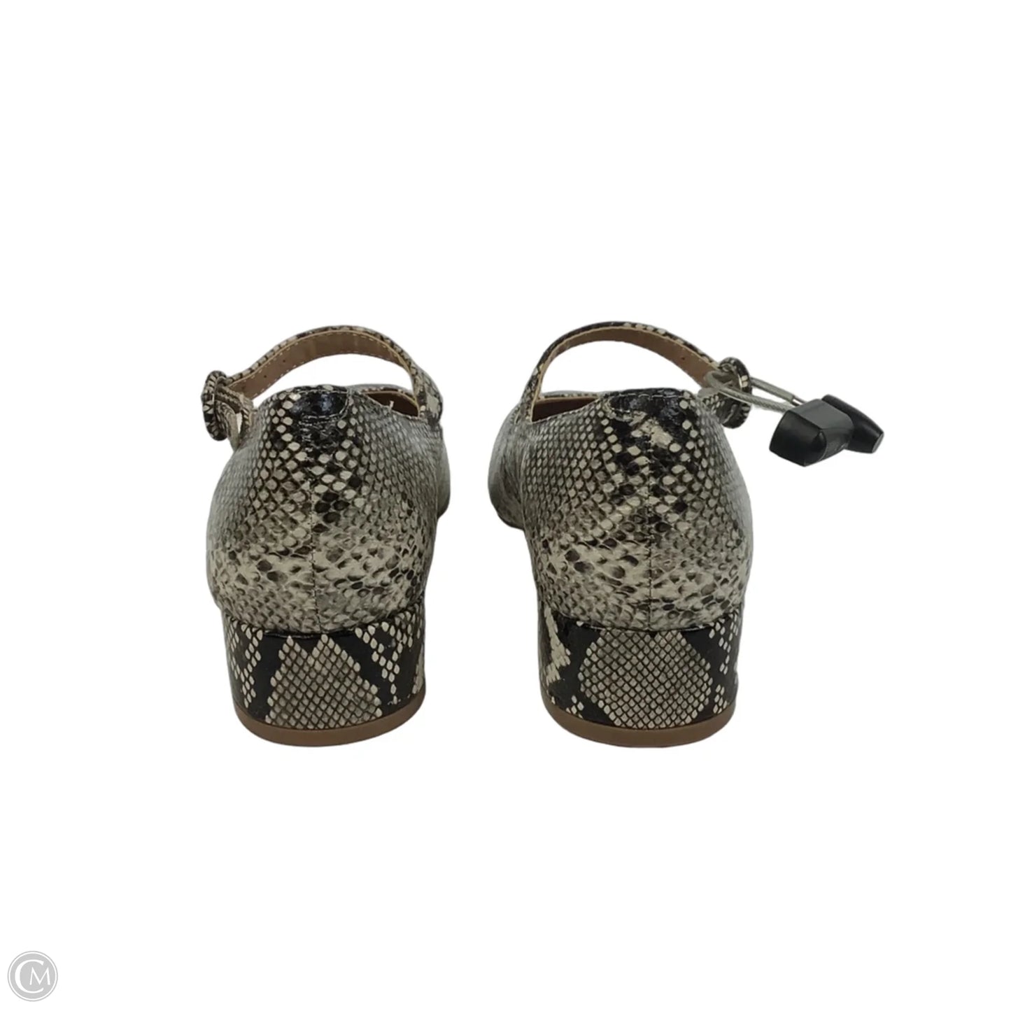 Shoes Heels Block By Steve Madden In Snakeskin Print, Size: 6