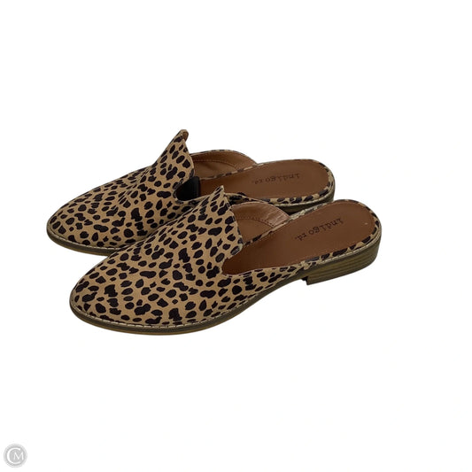Shoes Flats By Indigo Rd In Animal Print, Size: 7