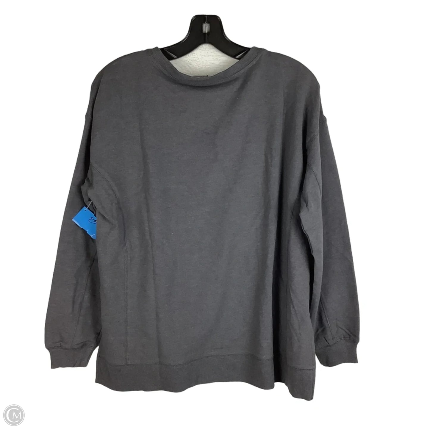 Sweatshirt Crewneck By Wildfox In Grey, Size: M