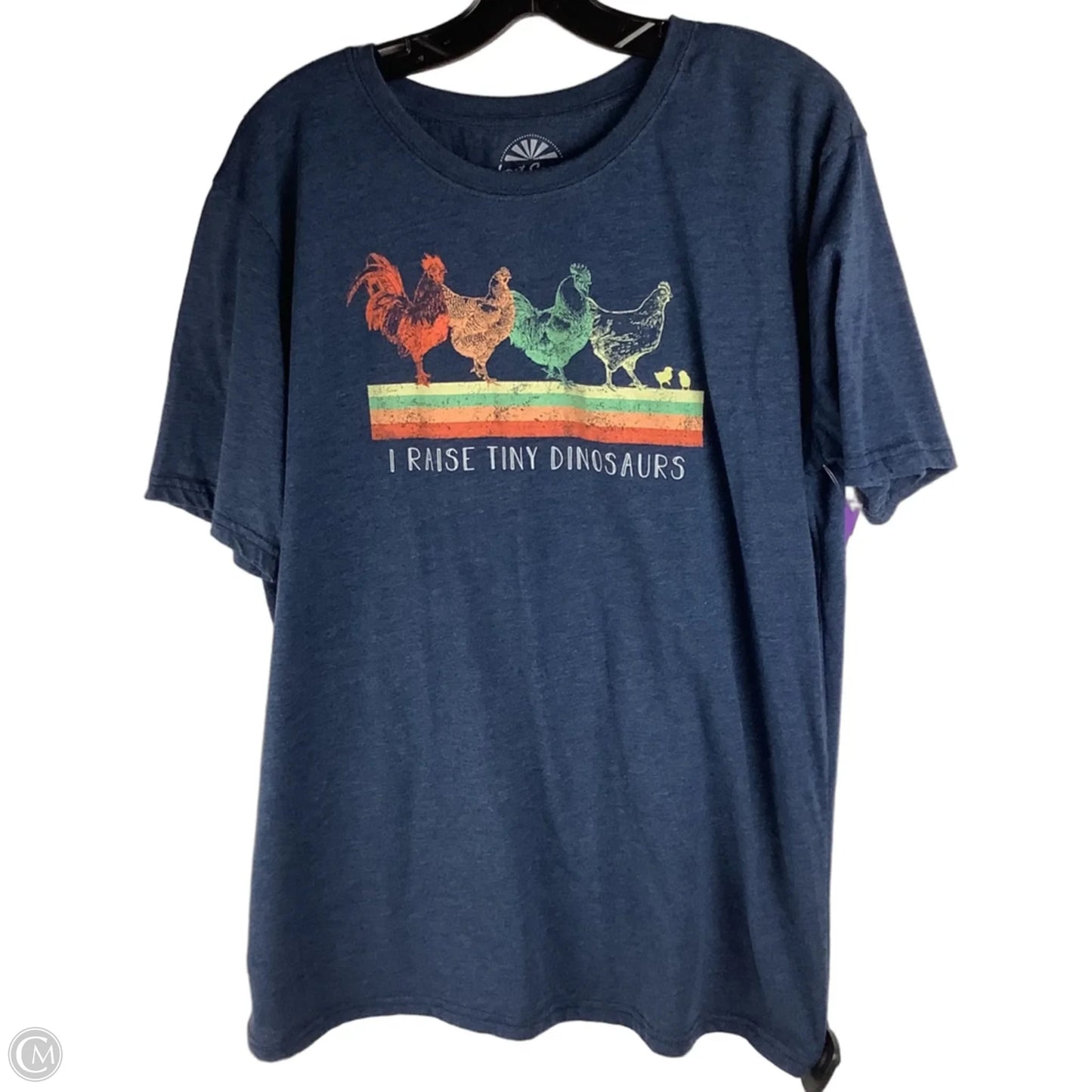 Top Short Sleeve By Clothes Mentor In Blue, Size: Xl