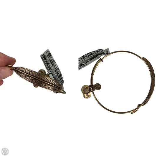 Bracelet Bangle By Clothes Mentor