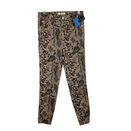 Pants Other By We The Free In Snakeskin Print, Size: 27