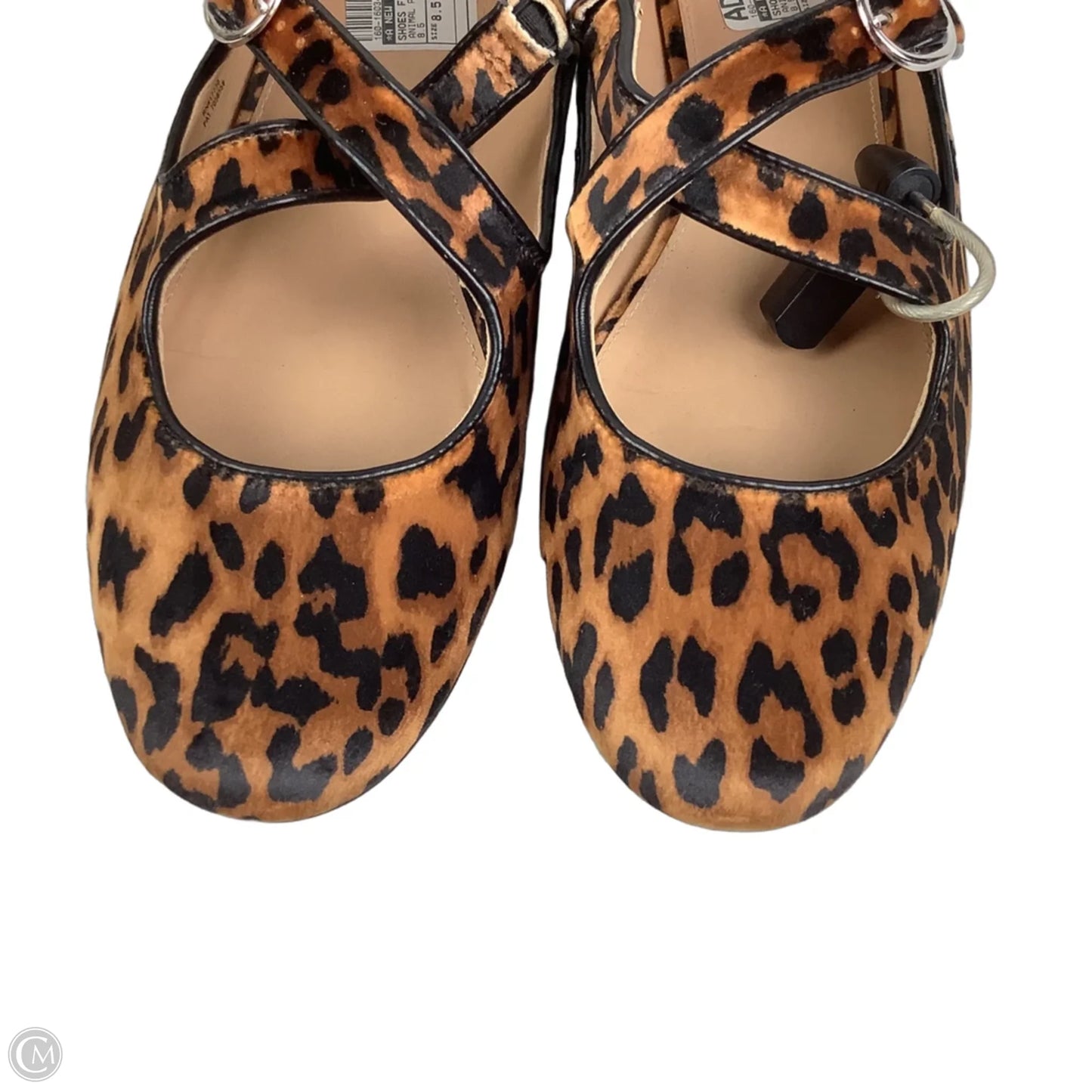 Shoes Flats By A New Day In Animal Print, Size: 8.5
