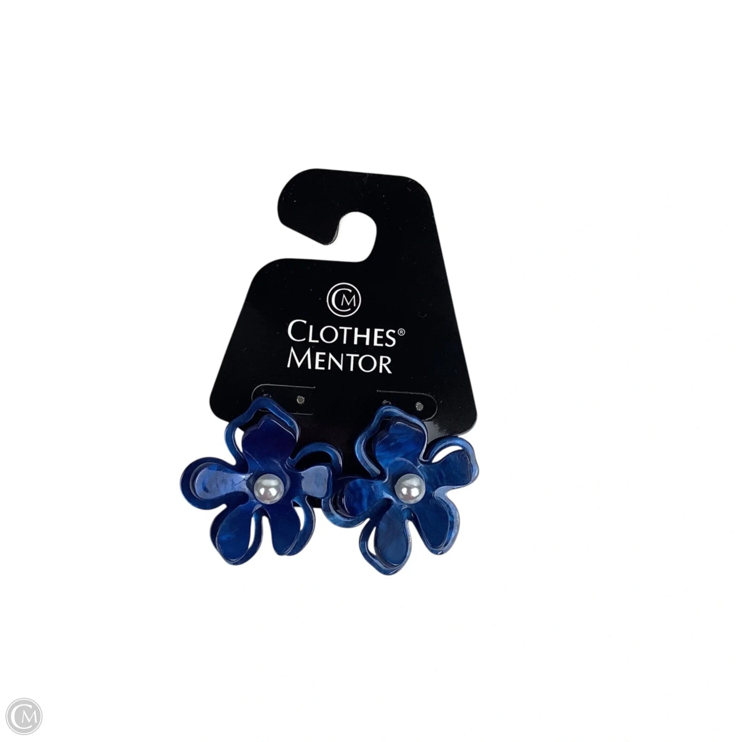 Earrings Dangle/drop By Clothes Mentor