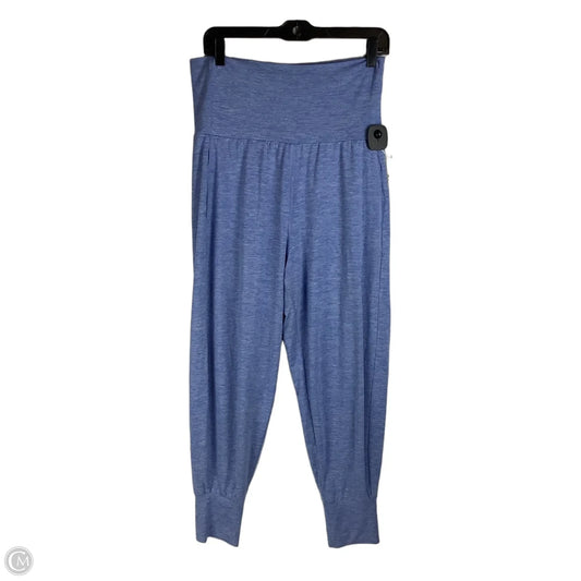 Athletic Pants By Aerie In Blue, Size: L