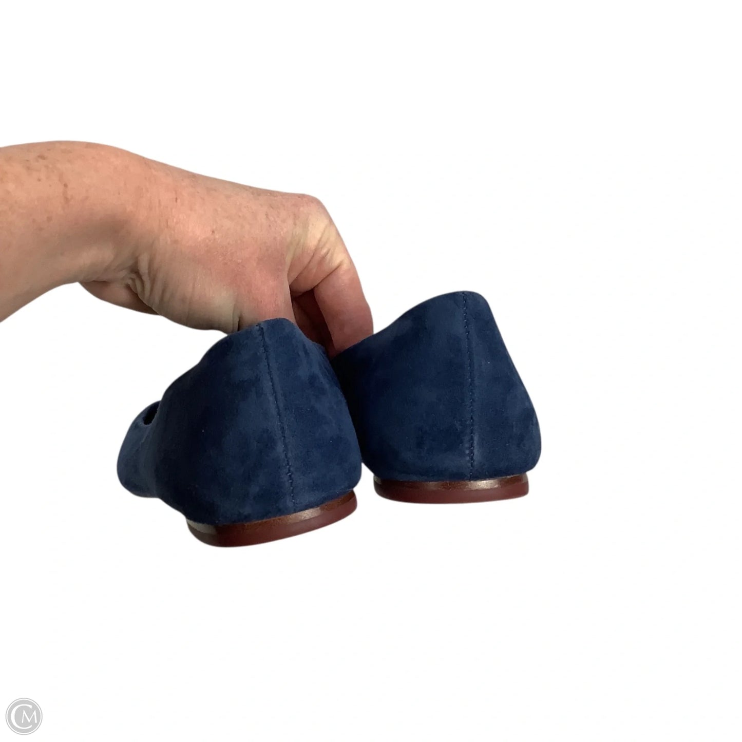 Shoes Designer By Tory Burch In Blue, Size: 9