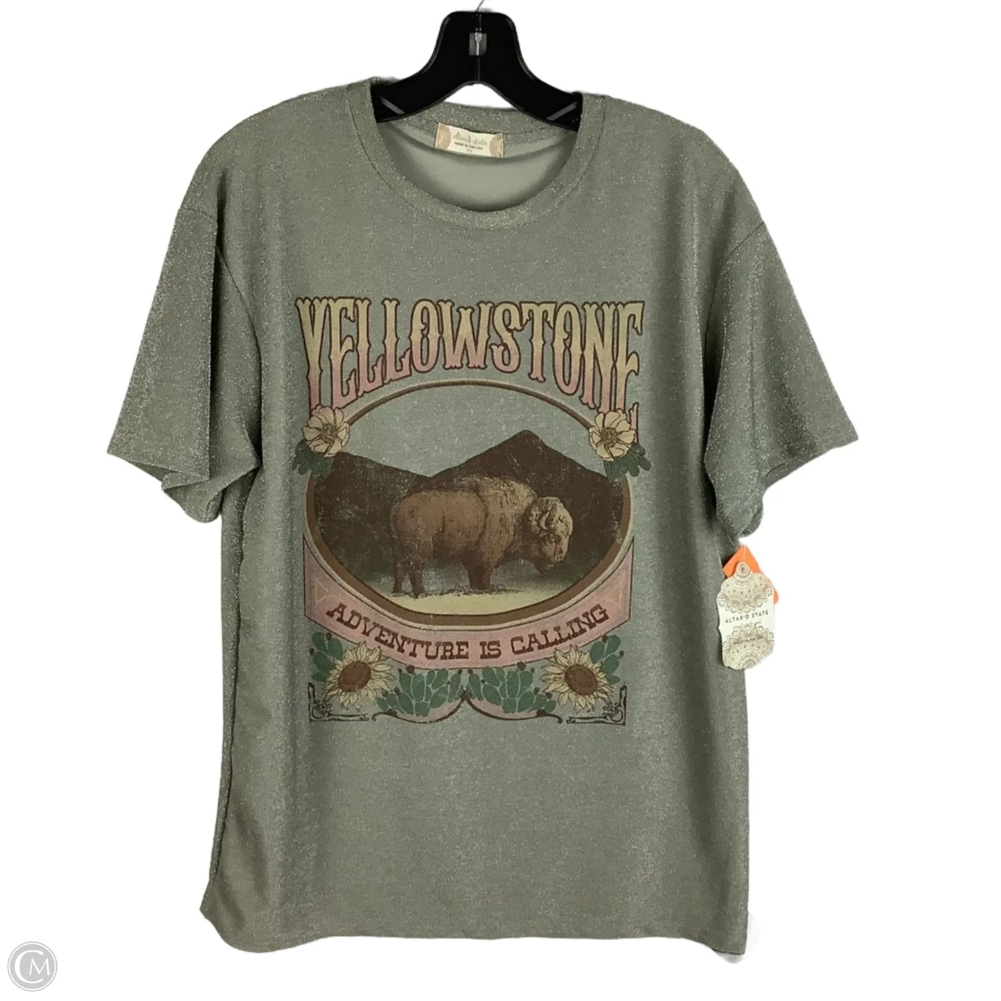 Top Short Sleeve By Altard State In Green, Size: Xs