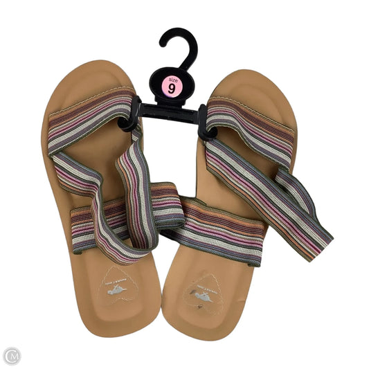 Sandals Flats By Rocket Dogs In Striped Pattern, Size: 9