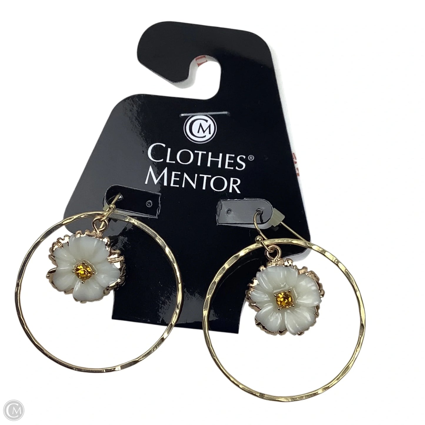 Earrings Dangle/drop By Anthropologie