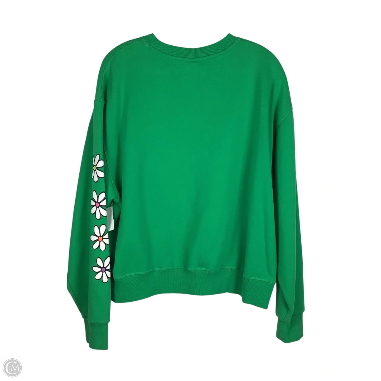 Sweatshirt Crewneck By Pacsun In Green, Size: S