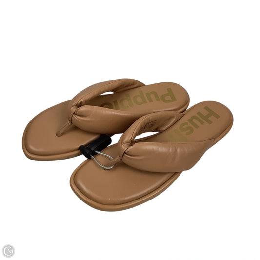 Sandals Flats By Clothes Mentor In Brown, Size: 7