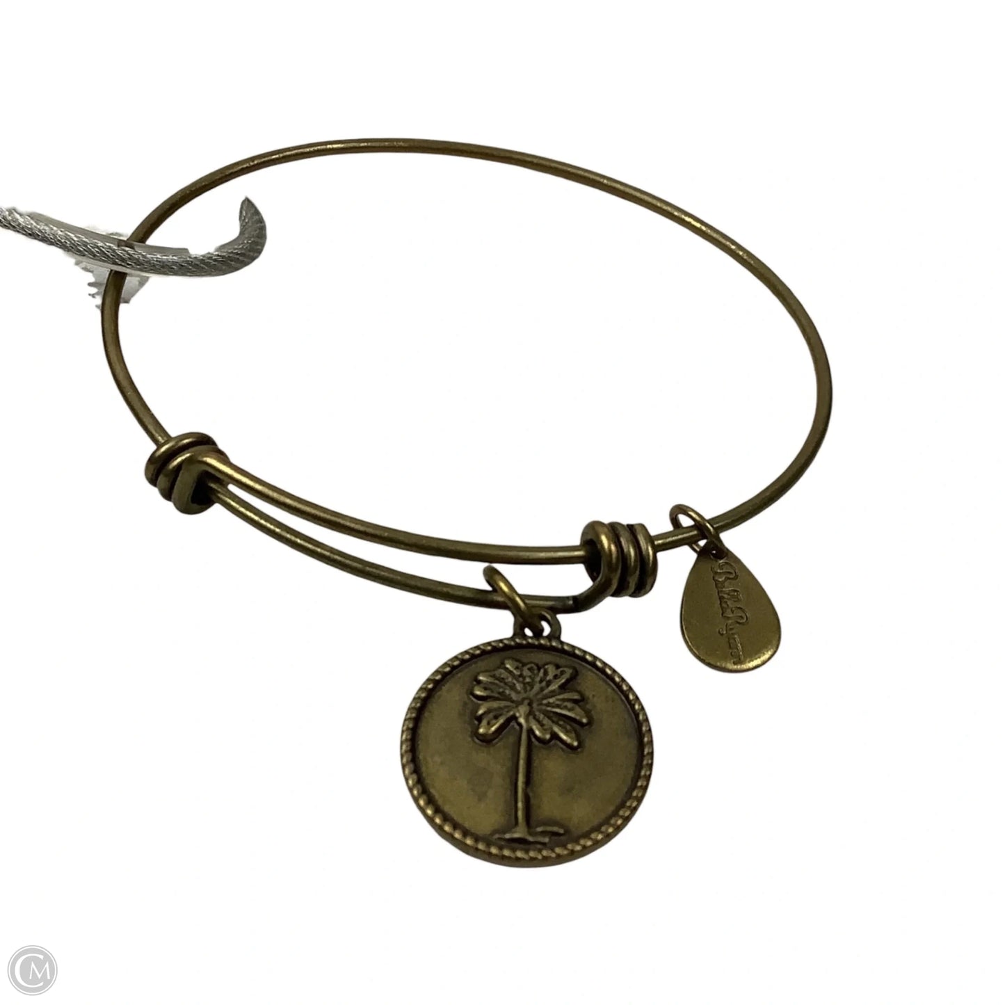 Bracelet Charm By Alex And Ani