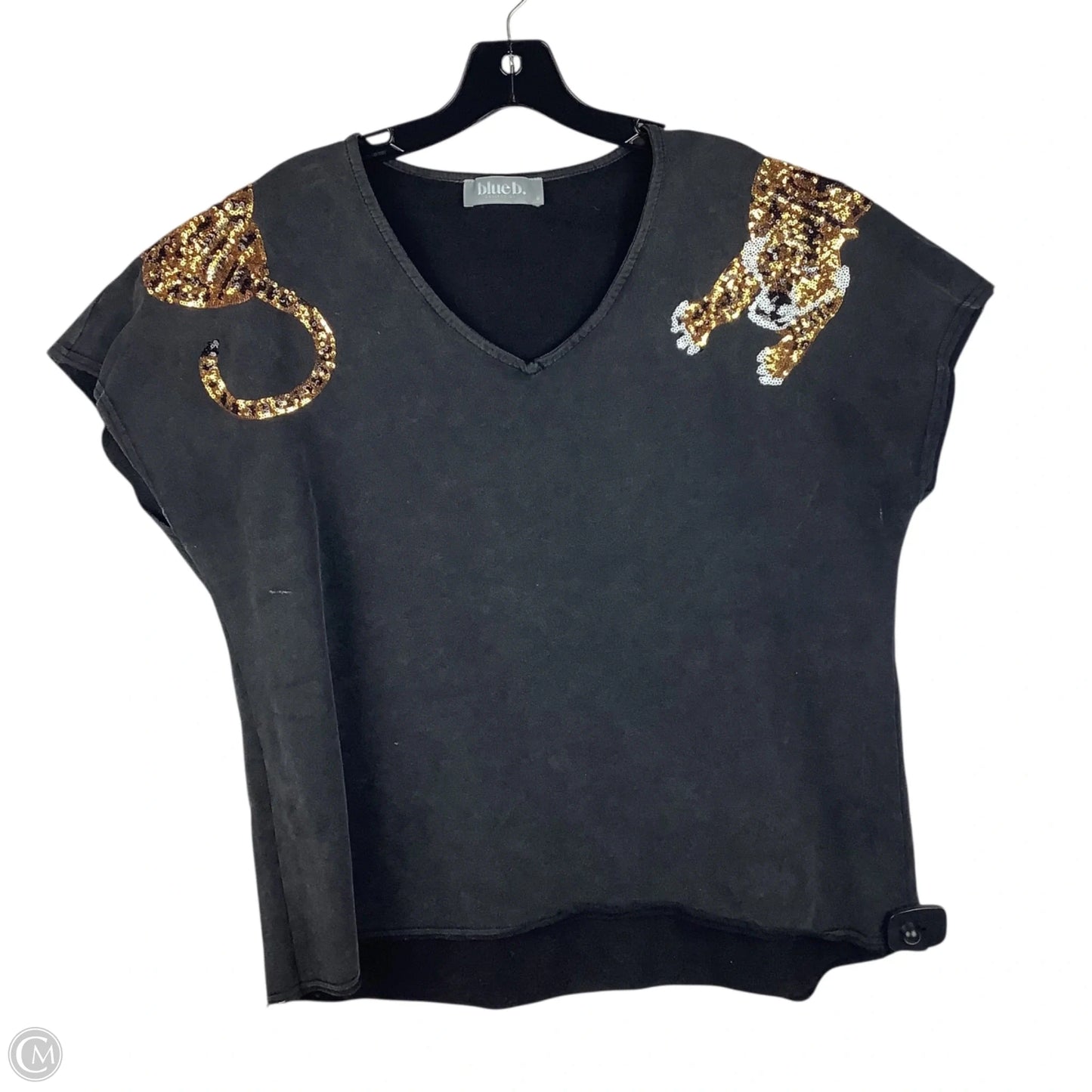 Top Short Sleeve By Blue B In Grey, Size: M