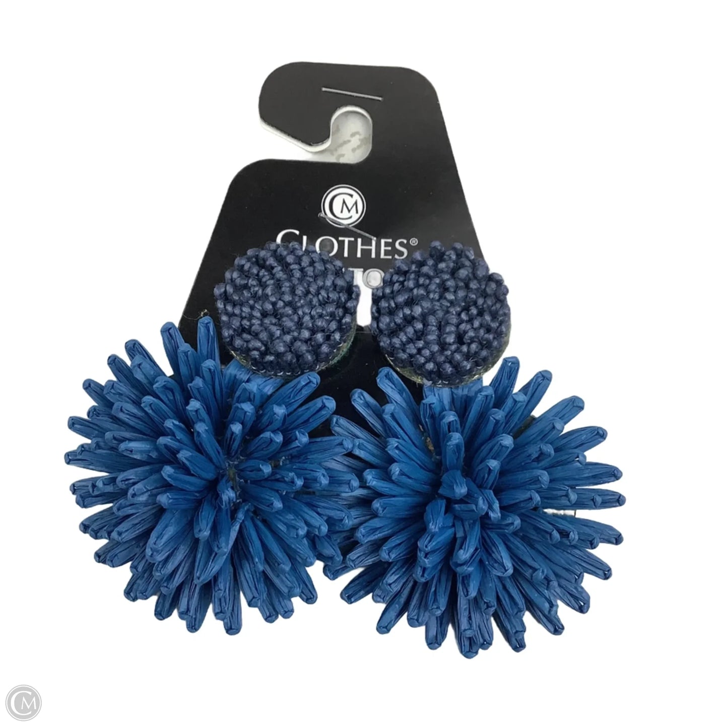 Earrings Dangle/drop By Clothes Mentor