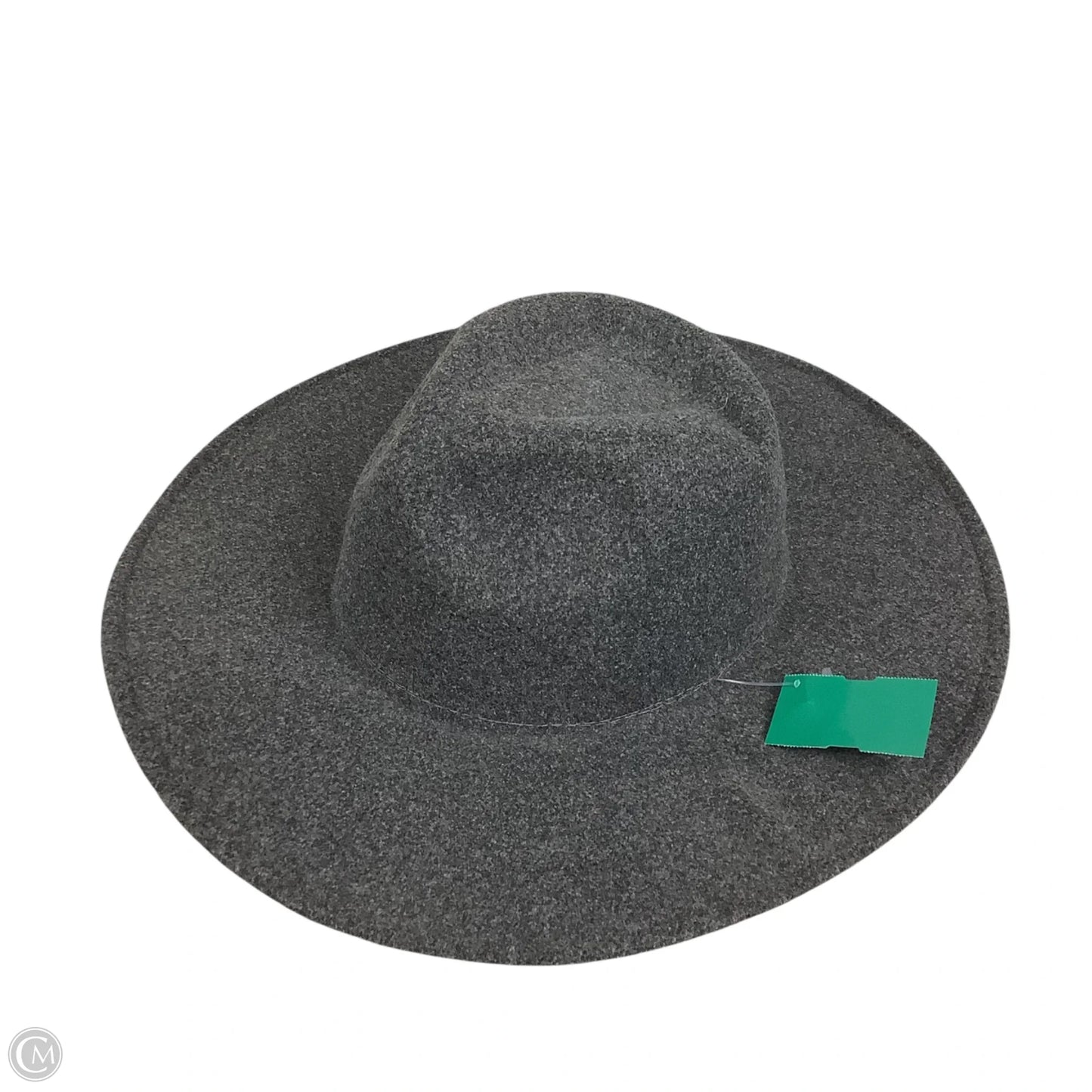 Hat Fedora By Anthropologie