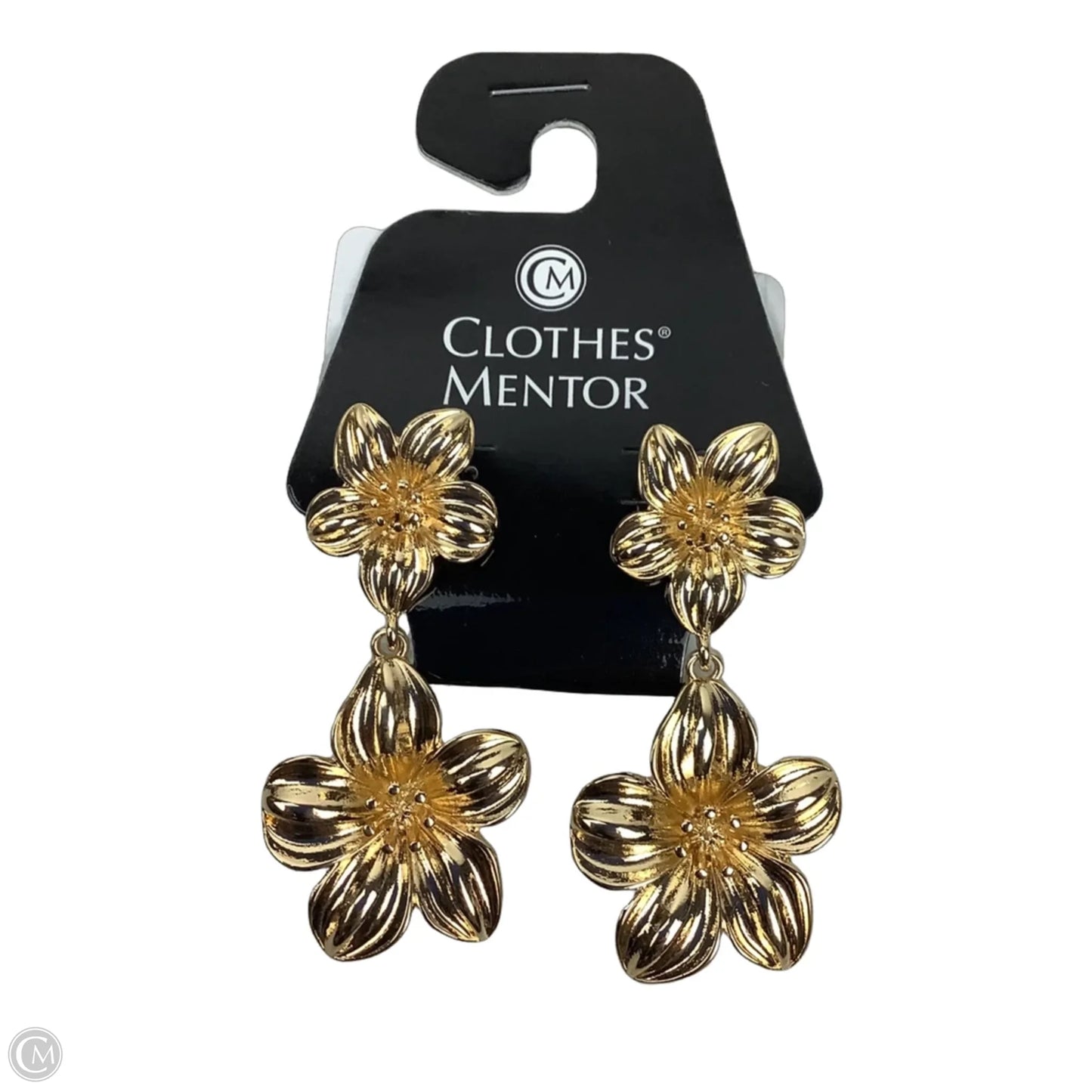Accessory Label By Clothes Mentor