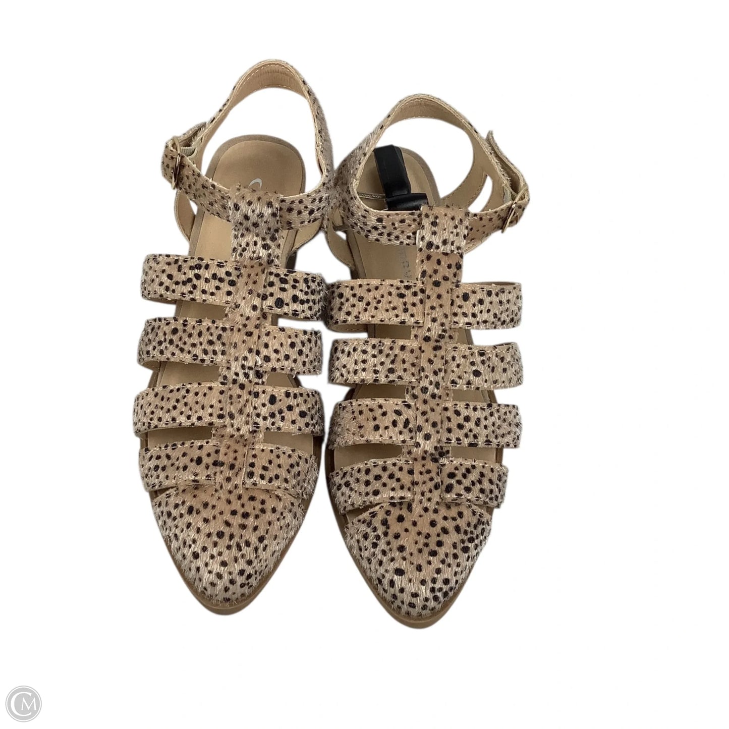 Shoes Heels Block By Cl By Chinese Laundry In Animal Print, Size: 7.5