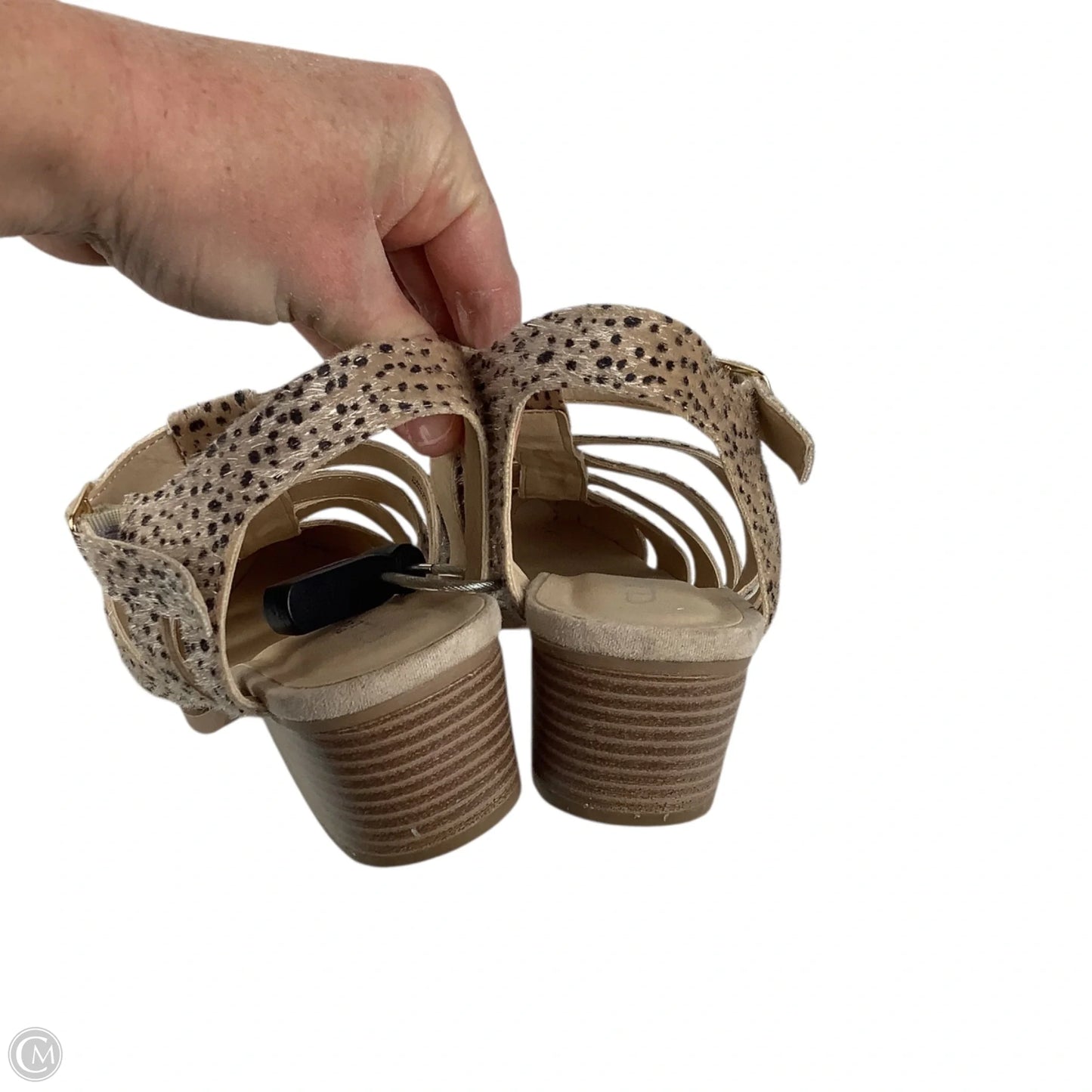 Shoes Heels Block By Cl By Chinese Laundry In Animal Print, Size: 7.5