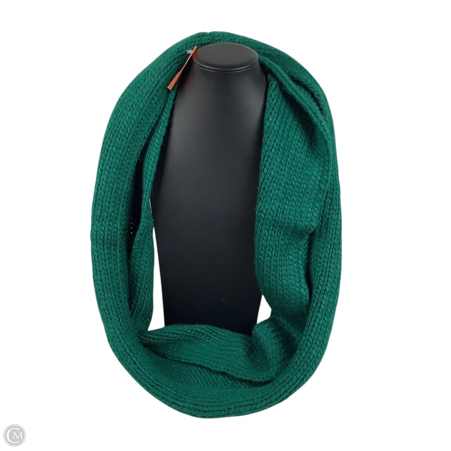 Scarf Winter By Clothes Mentor In Green