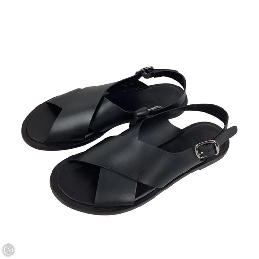 Sandals Flats By Everlane In Black, Size: 9.5